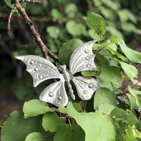Papillon décoratif