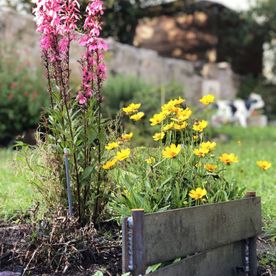 Barrière de jardin en acier